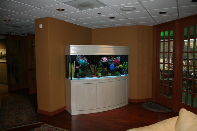 aquarium140.jpg