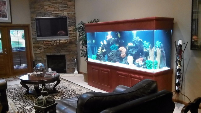 Гостиная с аквариумом в интерьере (73 фото)