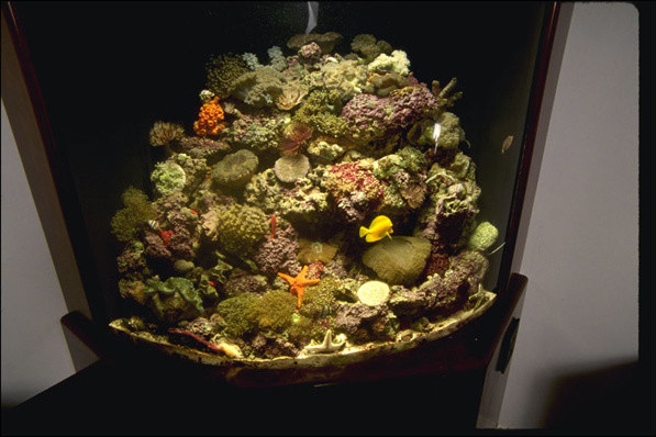 aquarium445.jpg